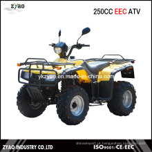 250cc Big Power CEE Farm ATV, ATV Quad com aprovação CEE Hot Popular Barato Manual Clutch Air Cooled
